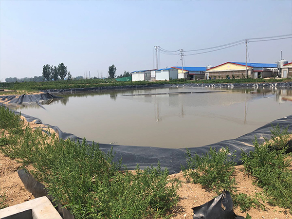魚蝦養(yǎng)殖土工膜 魚蝦養(yǎng)殖土工膜
