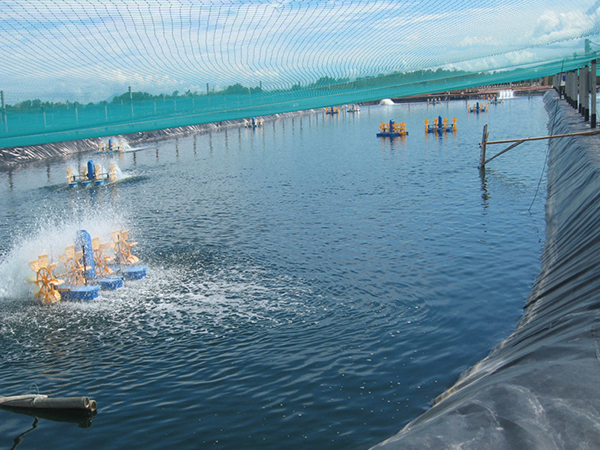 水產(chǎn)防滲膜鋪設(shè)現(xiàn)場有哪些細(xì)節(jié)須關(guān)注？