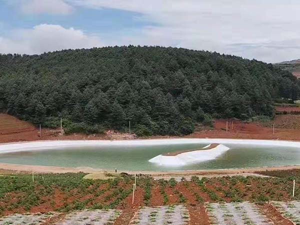 防滲膜可在魚塘魚池養(yǎng)殖中“大顯身手” 防滲膜可在魚塘魚池養(yǎng)殖中“大顯身手”