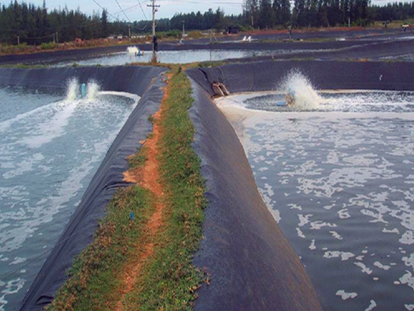 蓄水池鋪設(shè)防滲土工膜需要考慮哪些設(shè)計(jì)要點(diǎn)？
