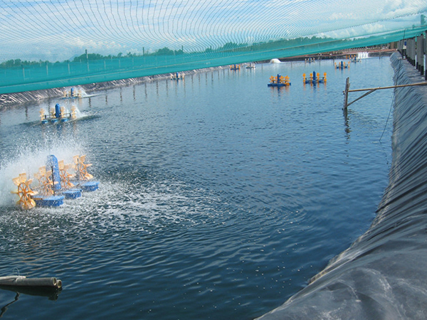 水產(chǎn)土工膜施工過程中該如何進(jìn)行基面清潔？