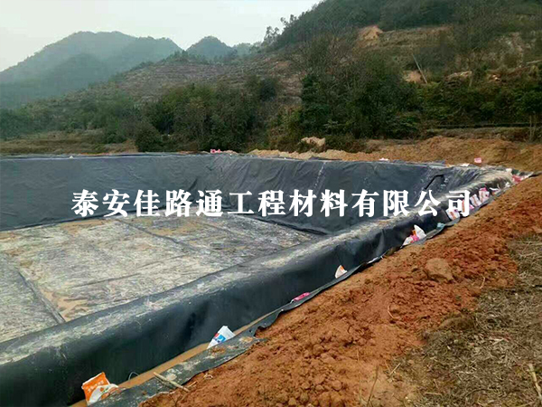 藕池養(yǎng)殖防滲膜修補工作順利謹(jǐn)慎進行中